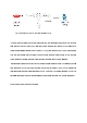 Lowry protein assay (단백질 정량 분석) 실험 예비레포트 [A+]   (5 )